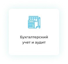 Диплом по аудиту