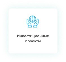 Дипломная работа по инвестиционным проектам