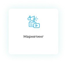 Дипломная работа по маркетингу