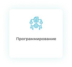 Дипломная работа по программированию